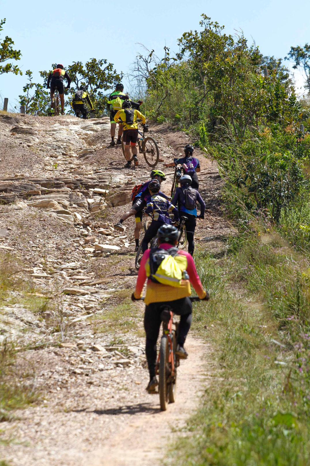 Mobirise