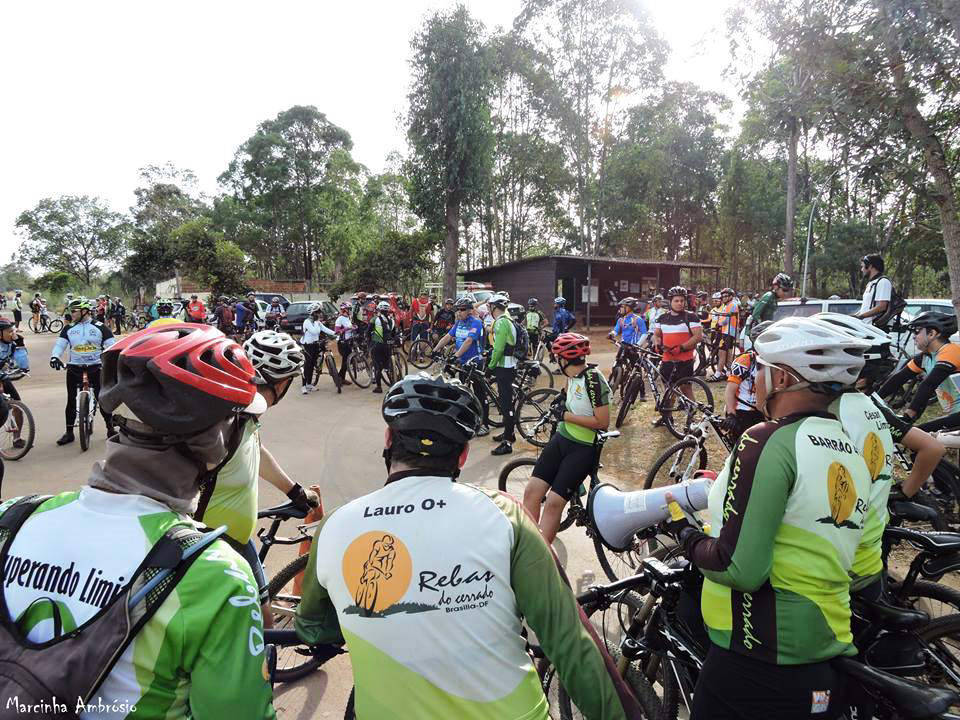Mobirise