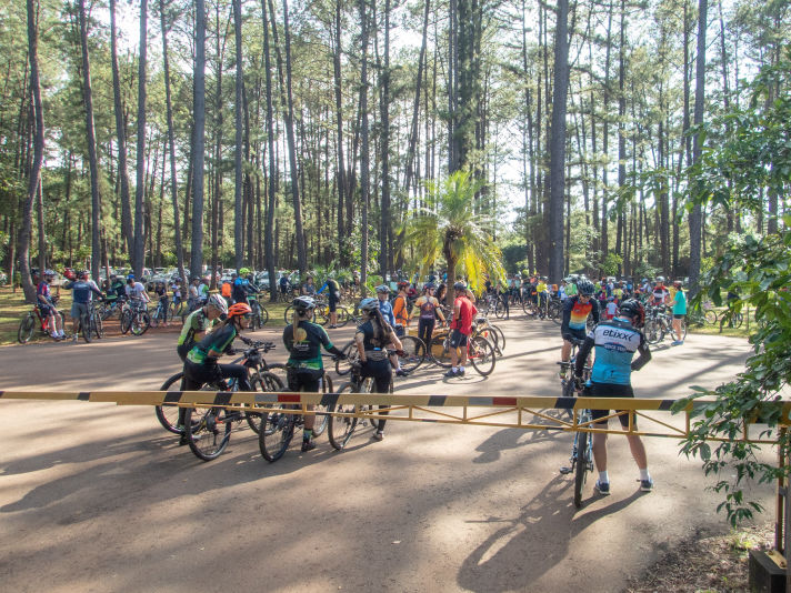 Mobirise
